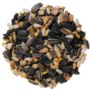 Super Songbird Blend, 5lb Bag