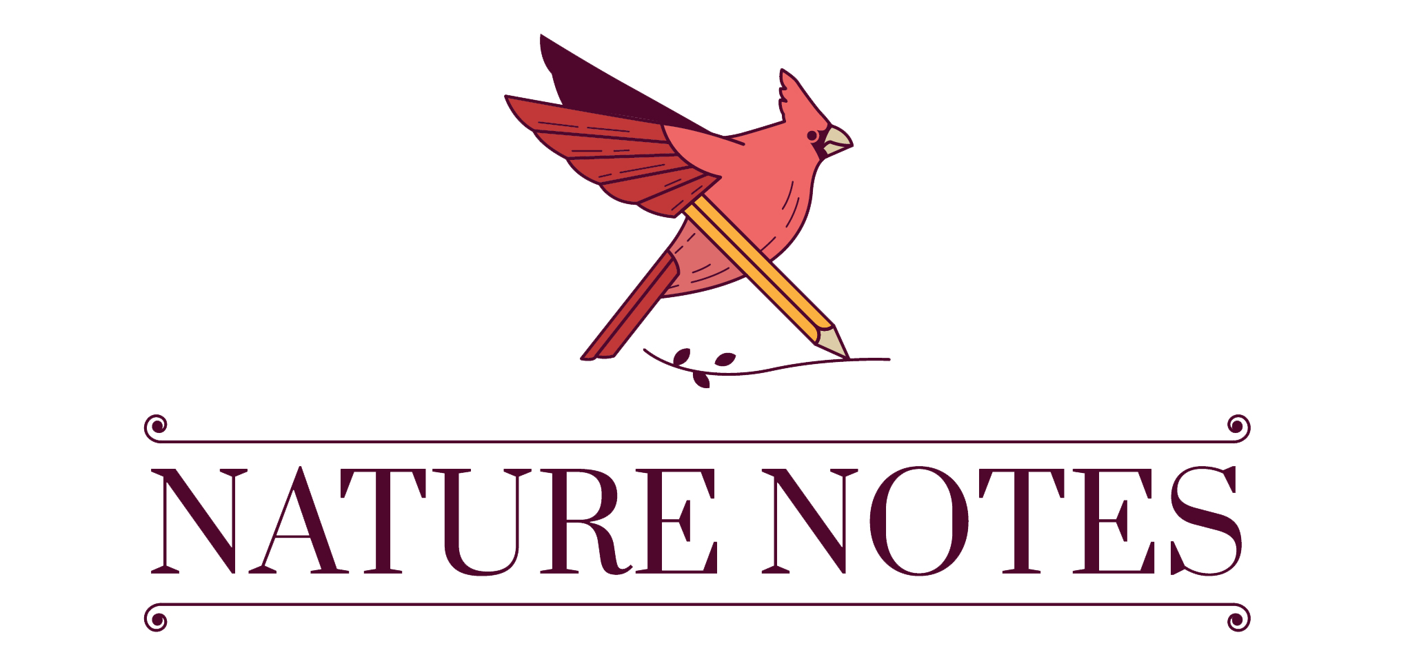 naturenoteswildbird.com